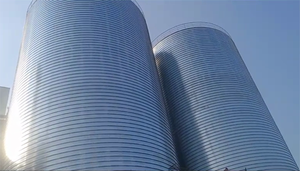 澄江2座混凝土高架卷板仓